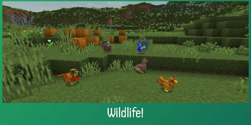[Fire] AurorianCraft: Realistic Survival Addon, скриншот 8